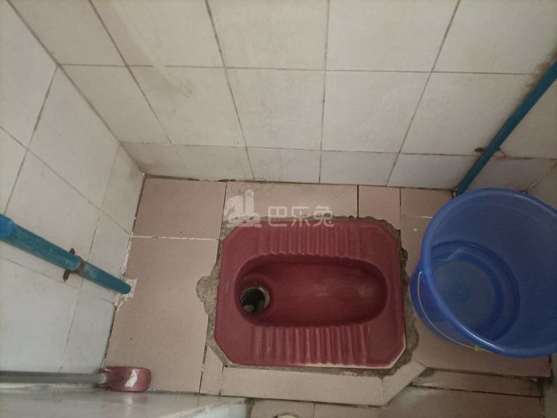 嘉禾望岗西岭路十九巷17号5692171卫生间图4