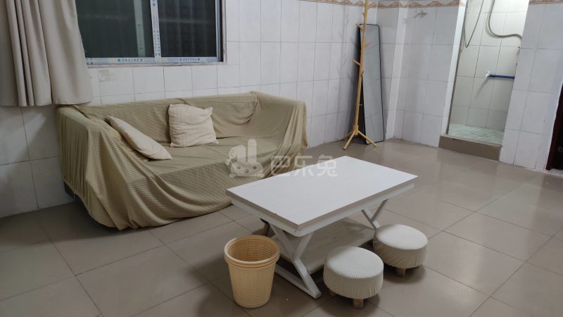 江夏村四约大街七巷6号5727843客厅图5