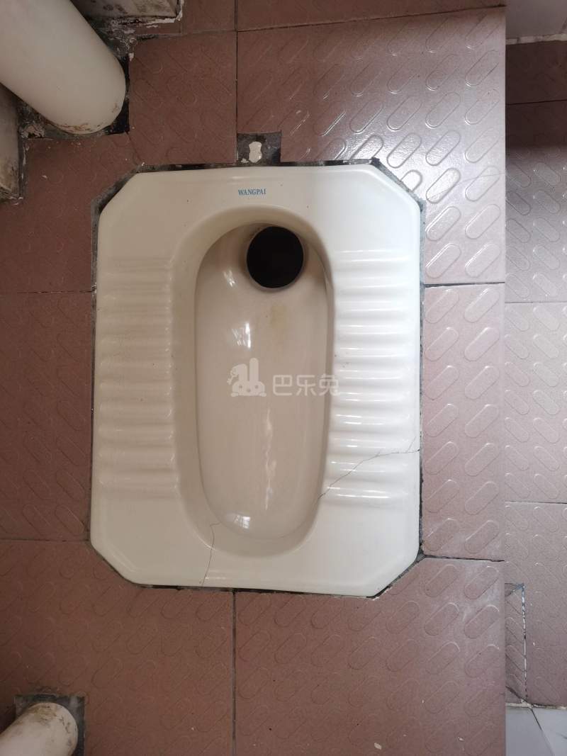 龙洞西街就成里12号5740555卫生间图6