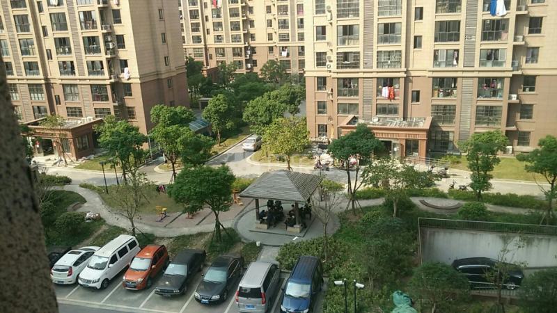 九亭家园（沪亭南路1059弄）9303225周边环境图8