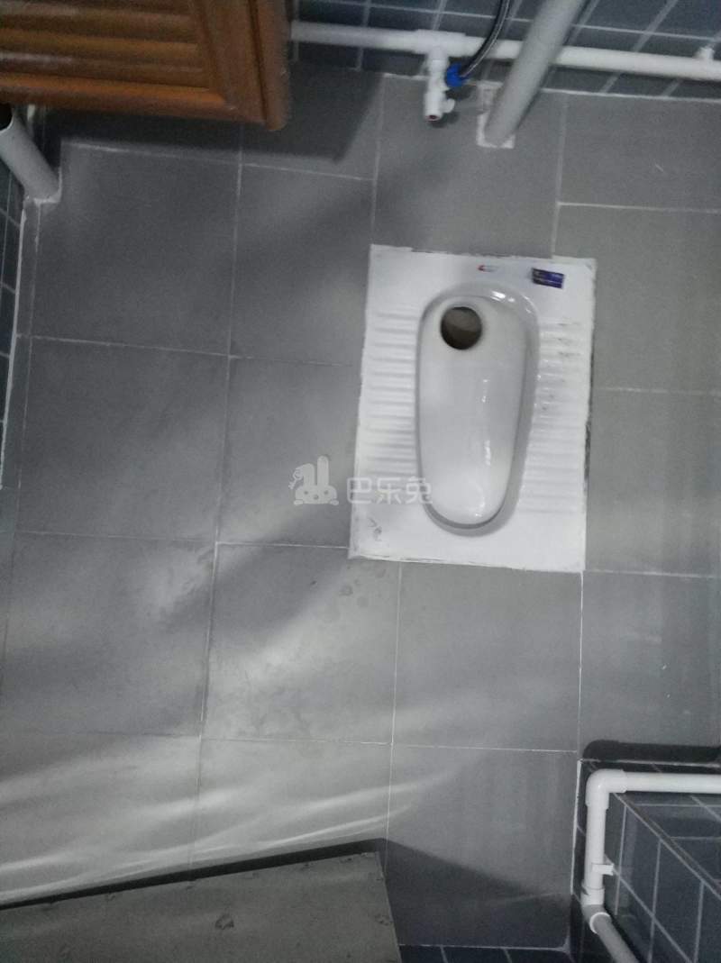 龙洞东园新村十巷1号5756714卫生间图6