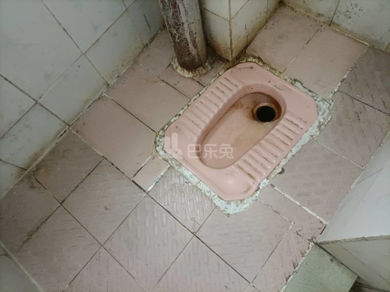 棠溪南天十巷12号5822879卫生间图5