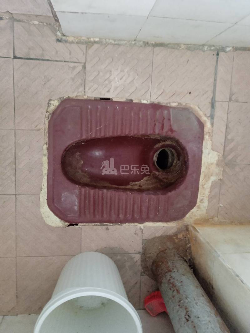 棠溪南天十巷12号5822888卫生间图4