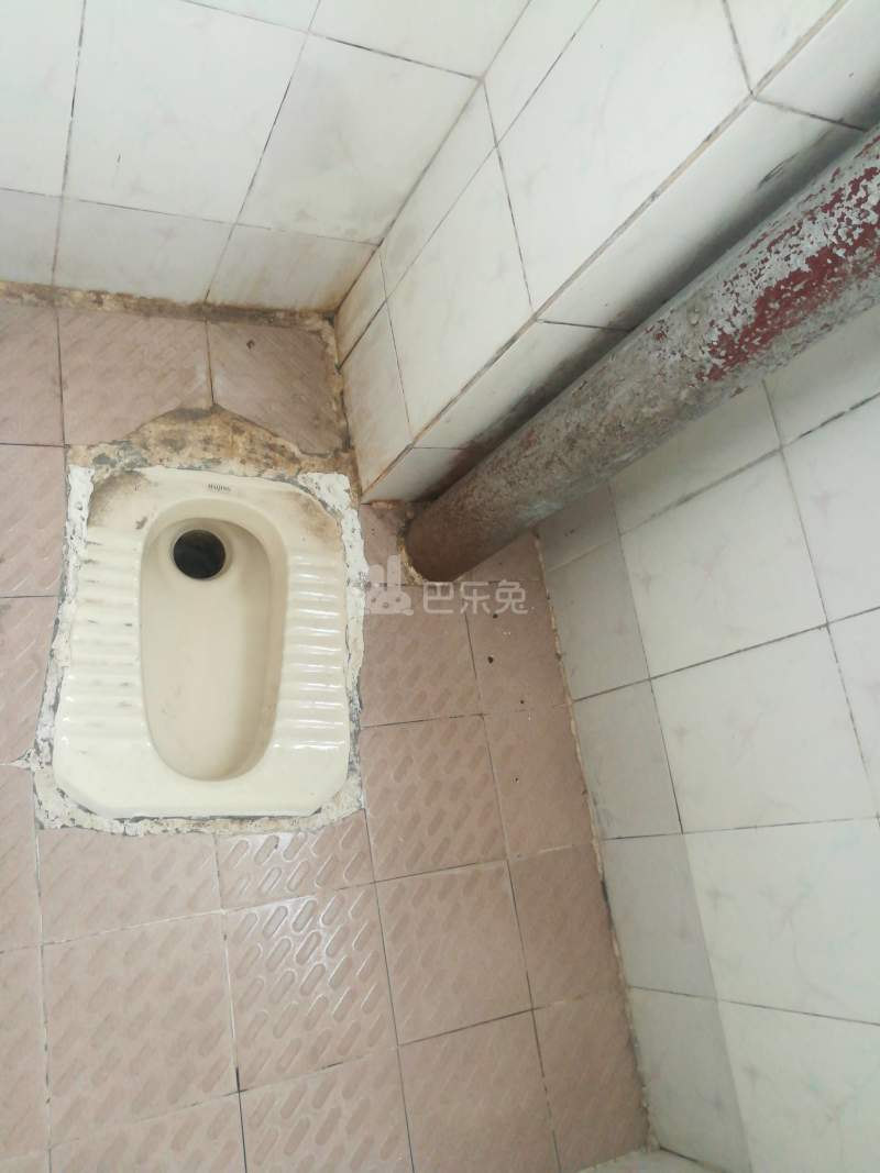 棠溪南天十巷12号5822892卫生间图7