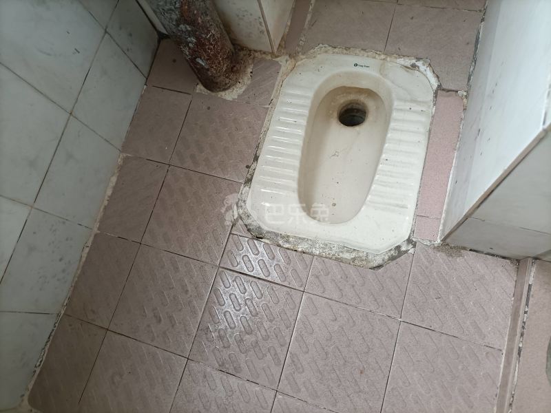 棠溪南天十巷12号5822895卫生间图5