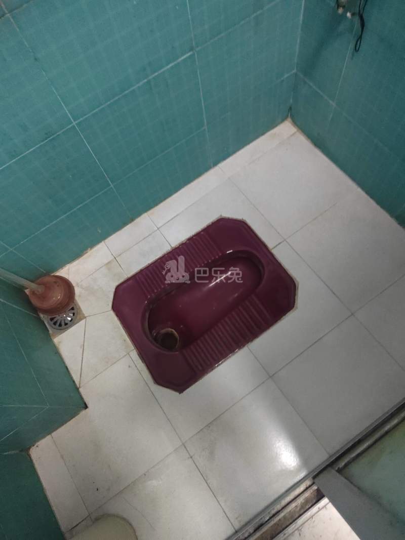 棠溪南天十巷13号5822908卫生间图16