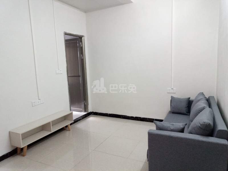 同新路5号5832301客厅图4