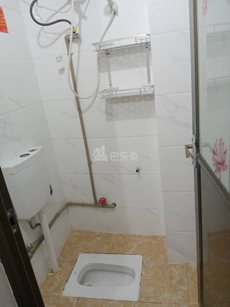 大山村卢地坊大街8号5837017卫生间图7