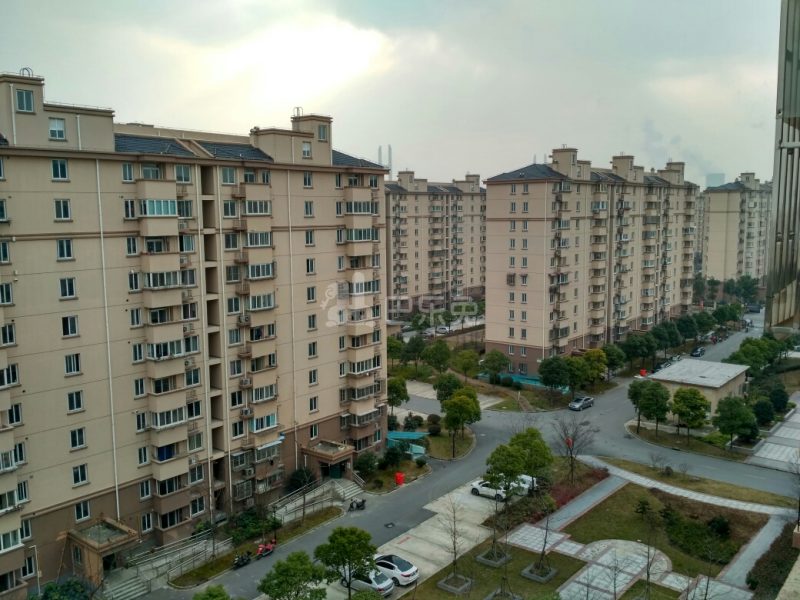 滨浦新苑五村1552020周边环境图7