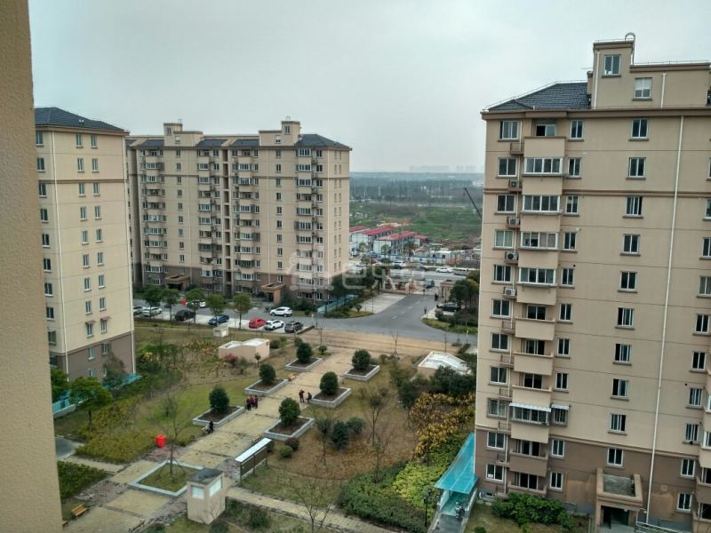 滨浦新苑五村1552020周边环境图6