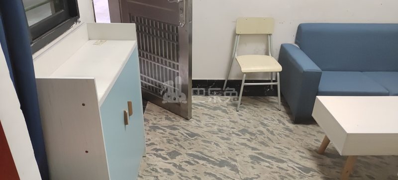 大山村沙涌坊南大街四巷8号之二5840887客厅图5