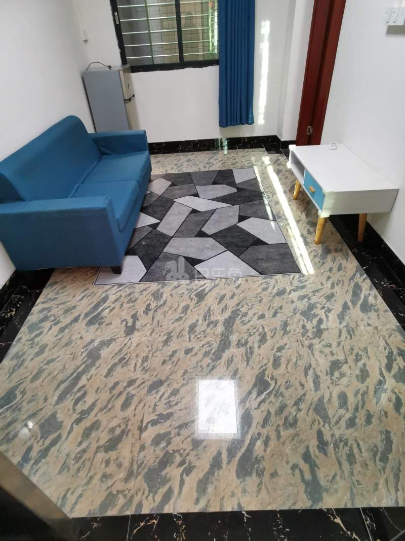 大山村沙涌坊南大街四巷8号之二5840889客厅图4