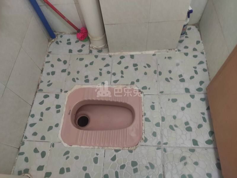 江夏荷木岭二巷1号5868549卫生间图7