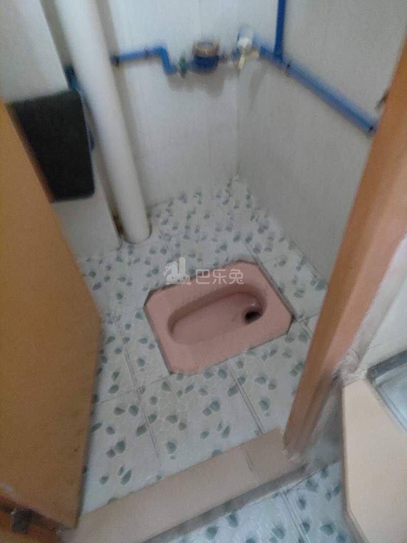 江夏荷木岭二巷1号5868550卫生间图5