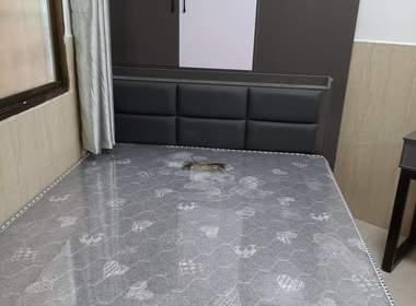 镇北南街黄地巷6号 1室0厅1卫