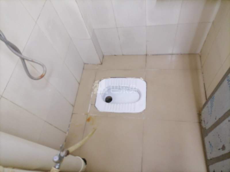 长湴西街7号A栋5906565卫生间图8