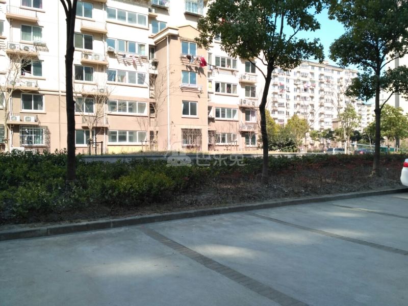 滨浦新苑八村15593340周边环境图9