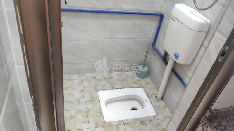 江夏村西街一巷7号5920975卫生间图4