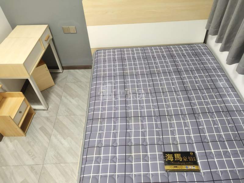 江夏村东一街十三巷10号5946806卧室图4