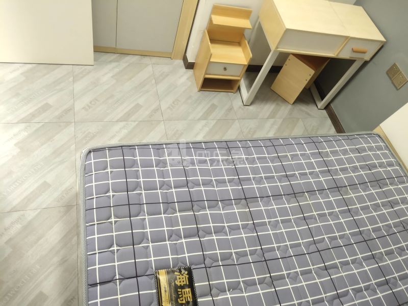 江夏村东一街十三巷10号5946806卧室图7