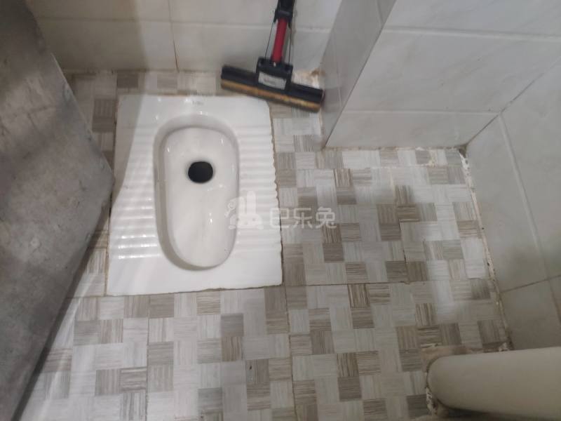 下元岗顺风巷2号5947429卫生间图6