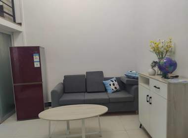 悦橄榄公寓（黄村围福里马路边5号） 2室1厅1卫