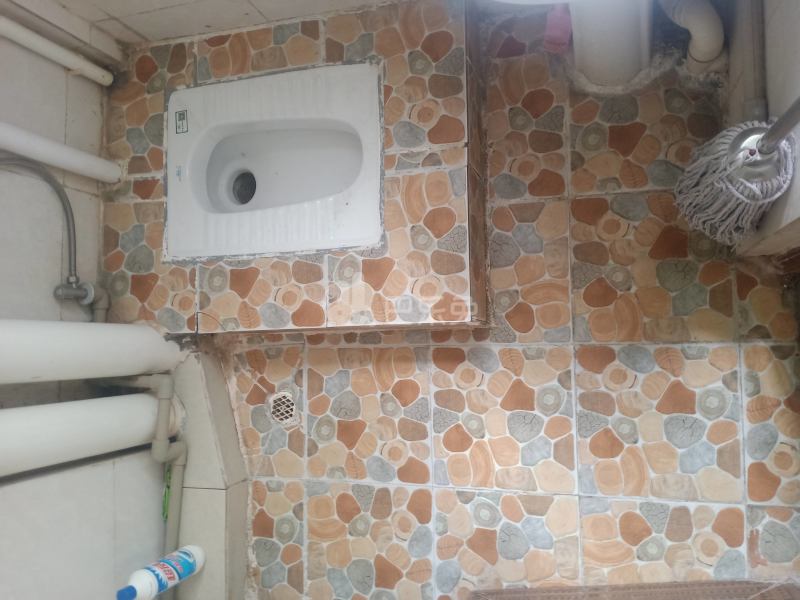 悦橄榄公寓（黄村围福里马路边5号）5953206卫生间图10