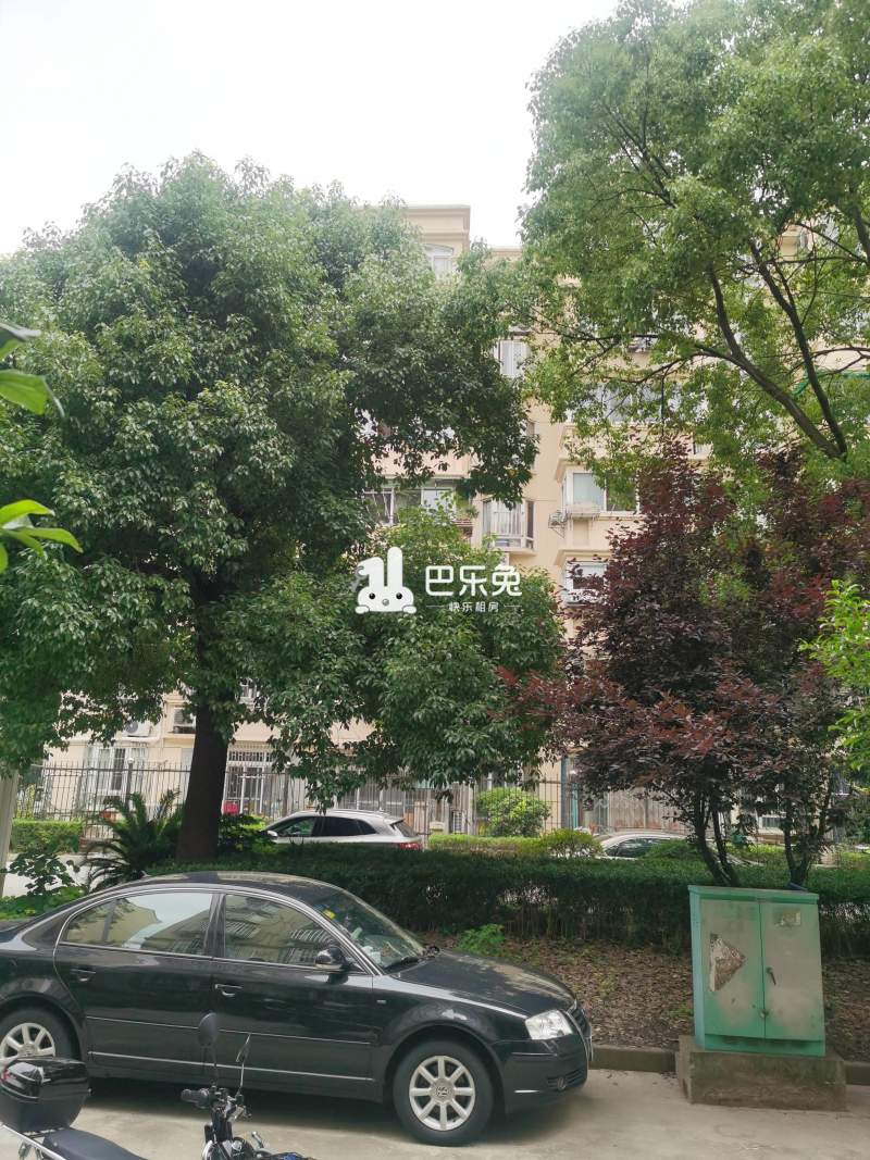 共和新路4719弄小区.