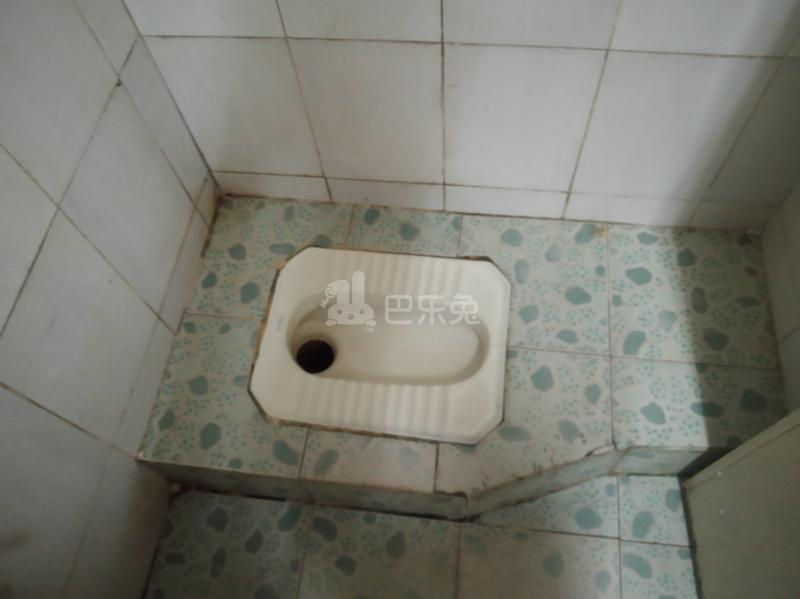 龙洞东街南边巷81号5960724卫生间图4