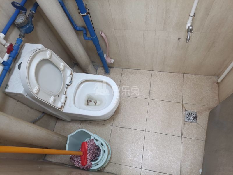 阳光居所（三元里棠溪祥岗后街29号）5964204卫生间图5