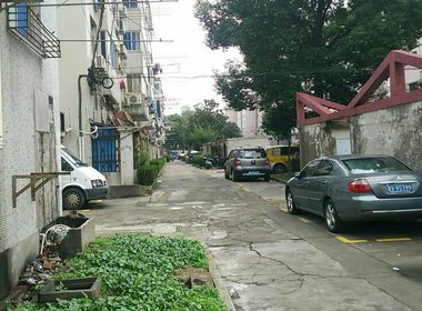 桃园小区（九亭大街） 