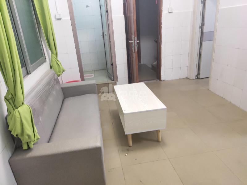 江夏村青龙大街三巷9号5970034客厅图7