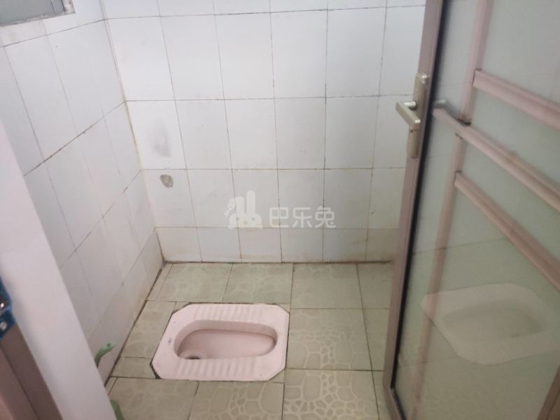 江夏村青龙大街三巷9号5970034卫生间图11