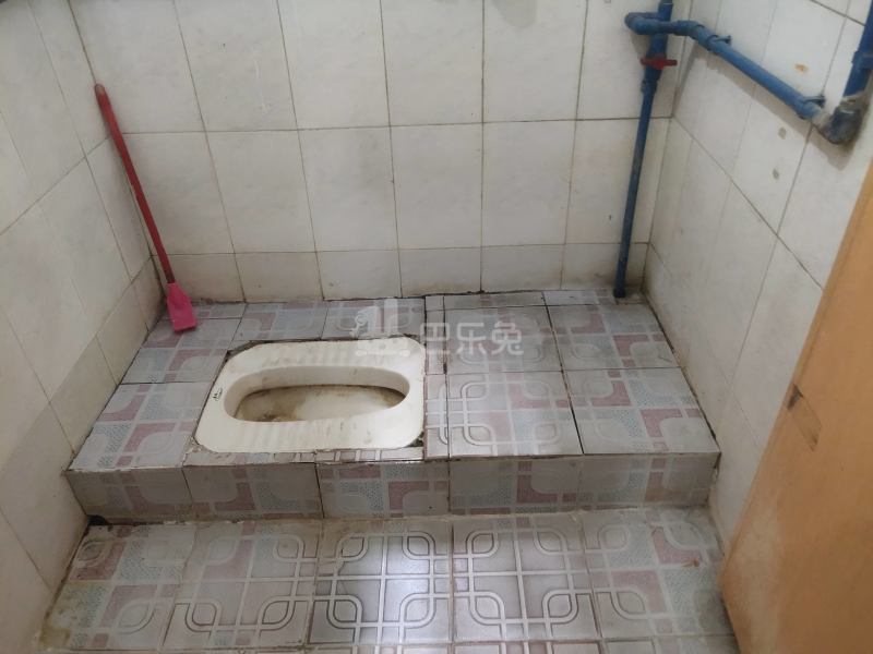 江夏村青龙大街西三巷10号5970045卫生间图18