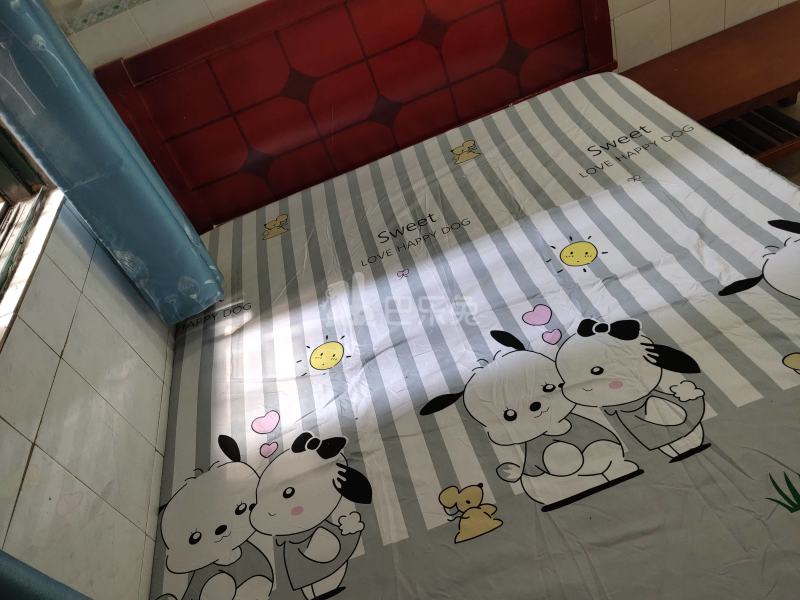 江夏村青龙大街西三巷10号5970045卧室图2