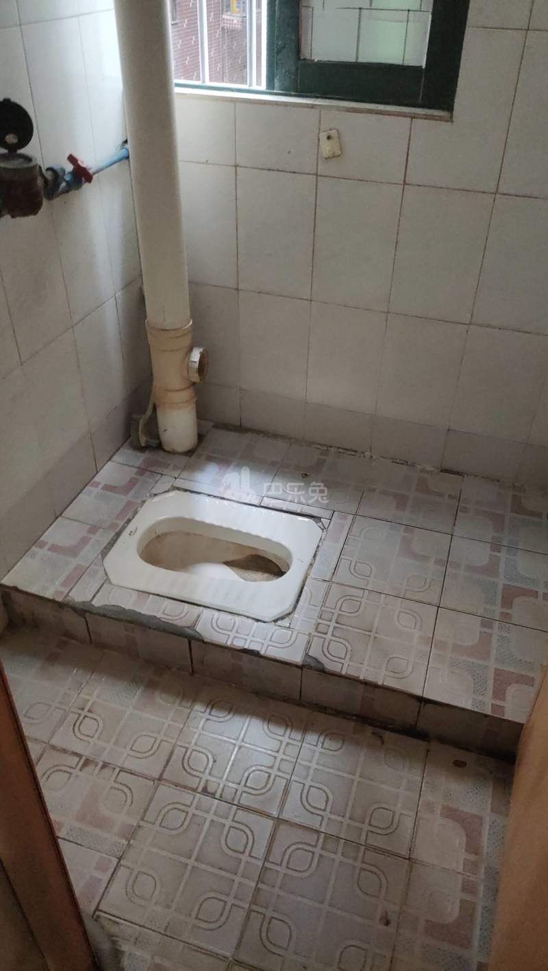 江夏村青龙大街西三巷10号5970049卫生间图8