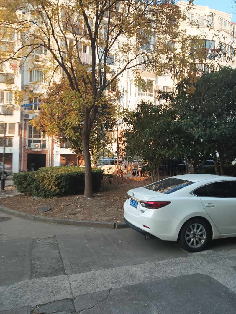 鼎信公寓5978286周边环境图12