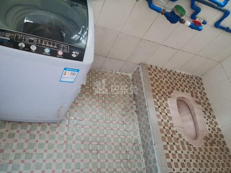 石牌朝阳北四巷7号5985131卫生间图5