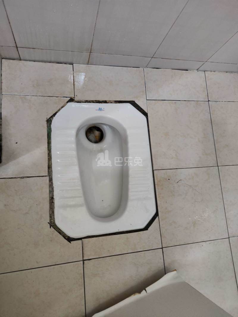 程界西德兴南巷1-5号5989608卫生间图10