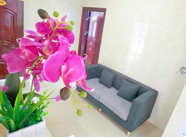 梦田公寓龙溪016店B栋 1室0厅0卫