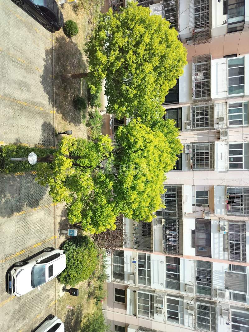 龙源星城6006998周边环境图6