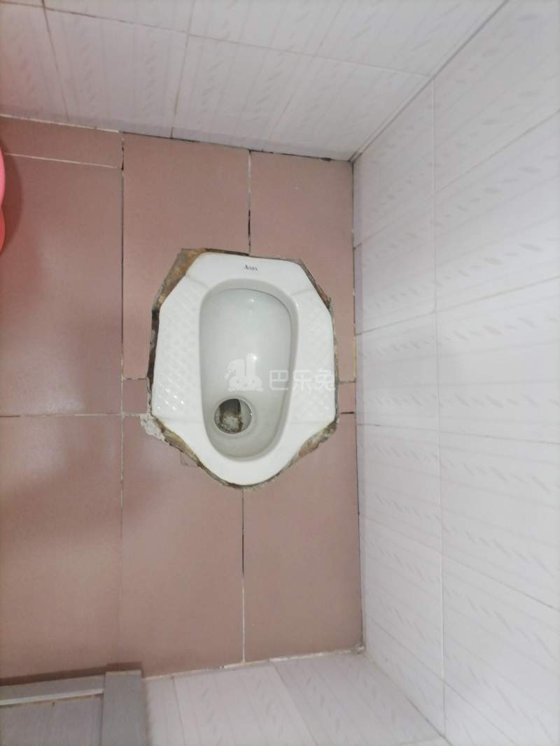 岗元新村东十二巷1号6030159卫生间图7