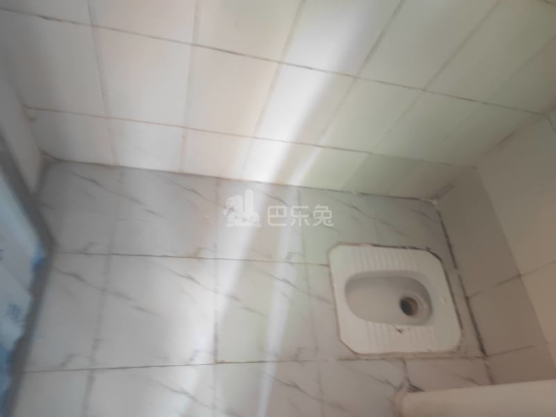 上元岗东街13号6066259卫生间图4