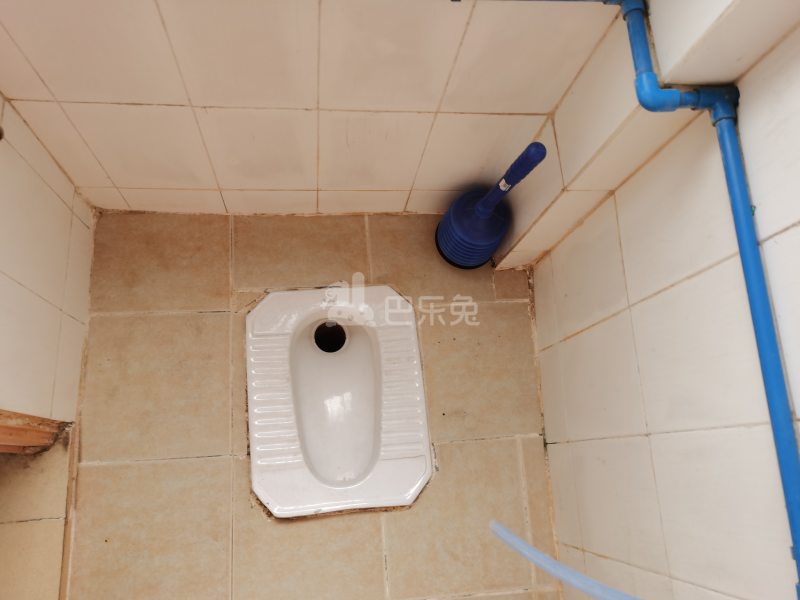 新市西街南二巷1号6085136卫生间图5