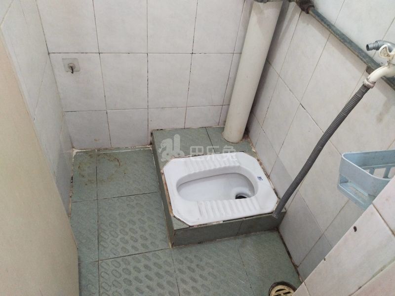 石牌塘边大街六巷11号6085307卫生间图11