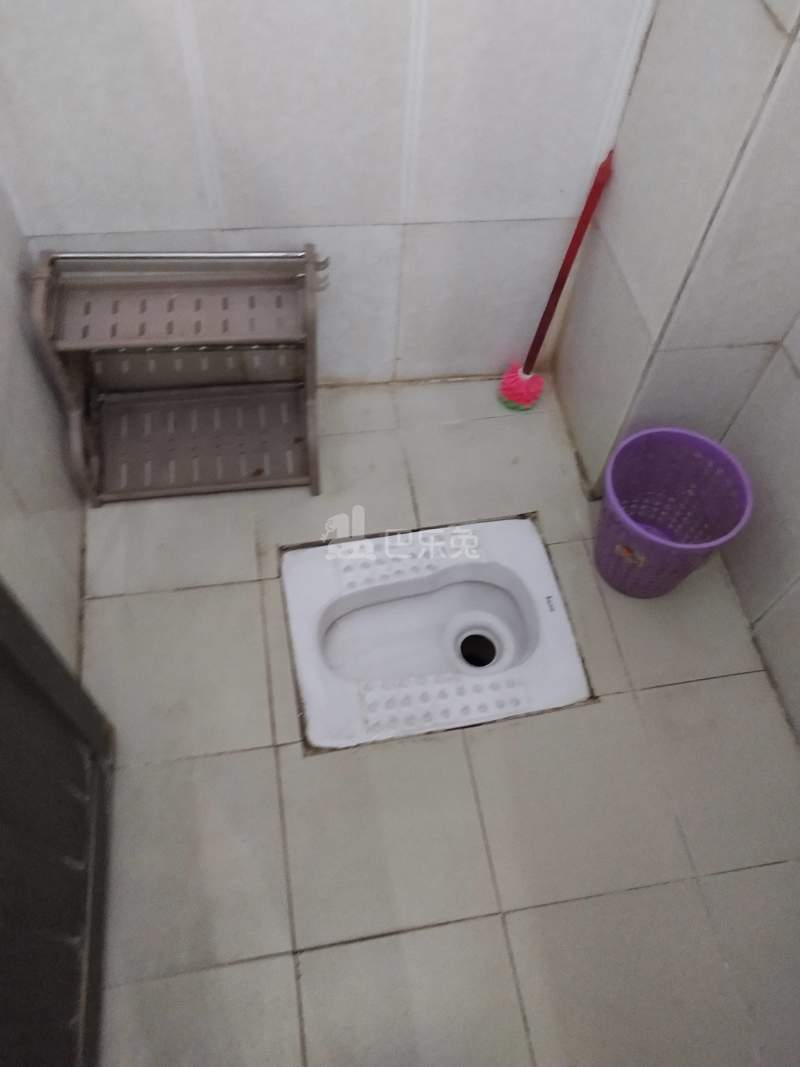 大山村新桥坊后街5号6088568卫生间图10