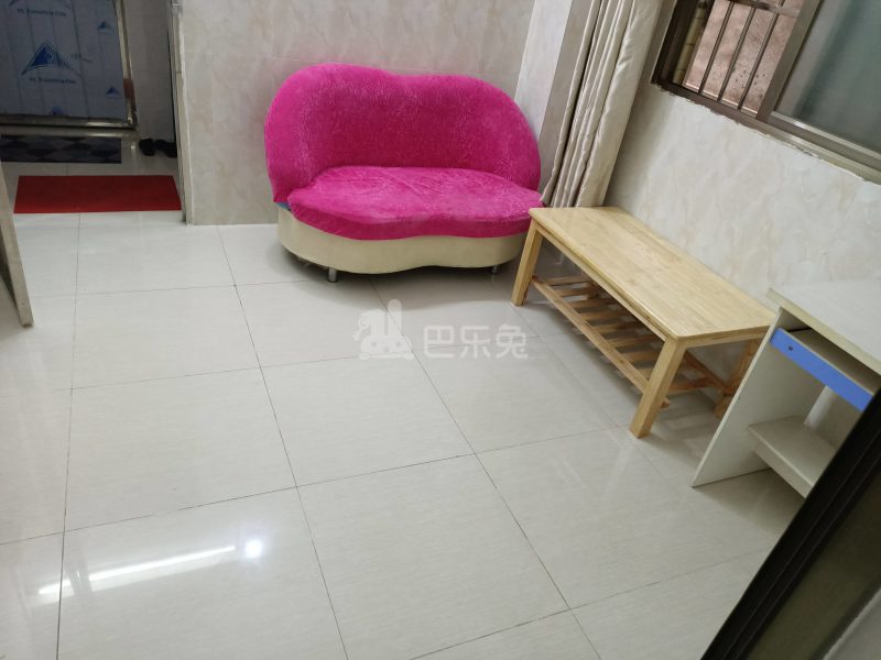 阳光公寓（东联村辛田大街四巷17号）6090542客厅图4