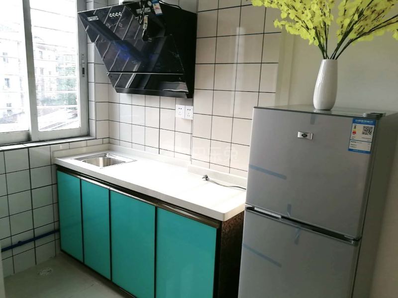 窝儿公寓A店6095376厨房图5