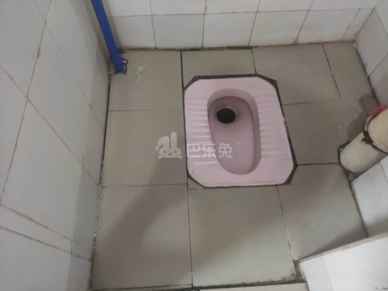 三元里棠溪南天九巷10号6096846卫生间图9