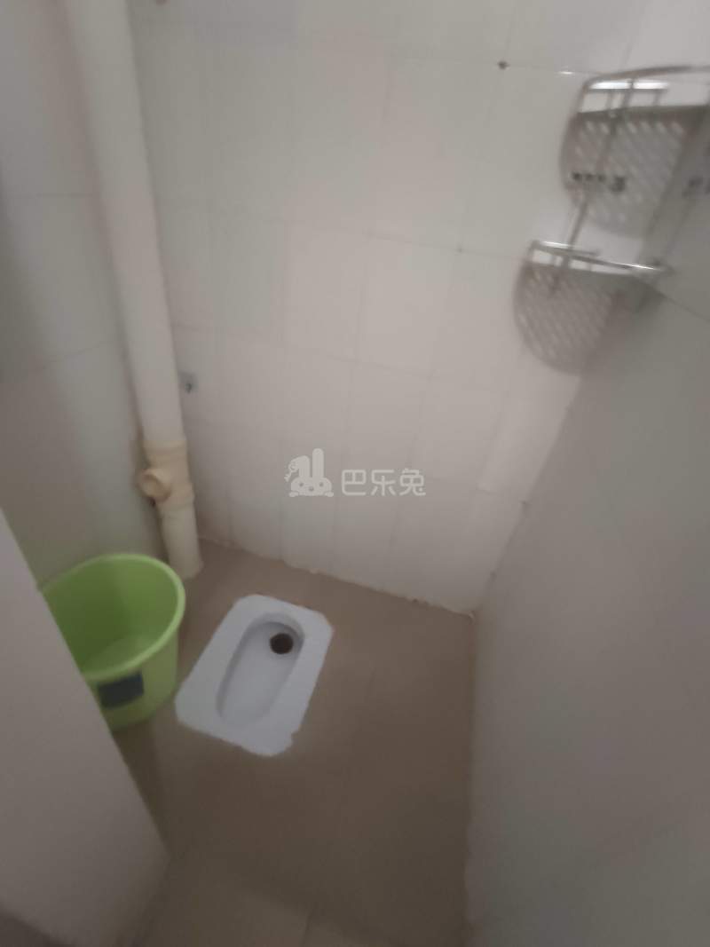 三元里棠溪南天九巷10号6096848卫生间图6